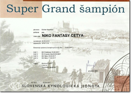 NIKO Fantasy Cetya - SUPER GRAND ŠAMPIÓN