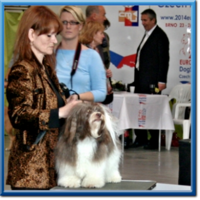 Medzinárodná výstava psov DUO CACIB Bratislava