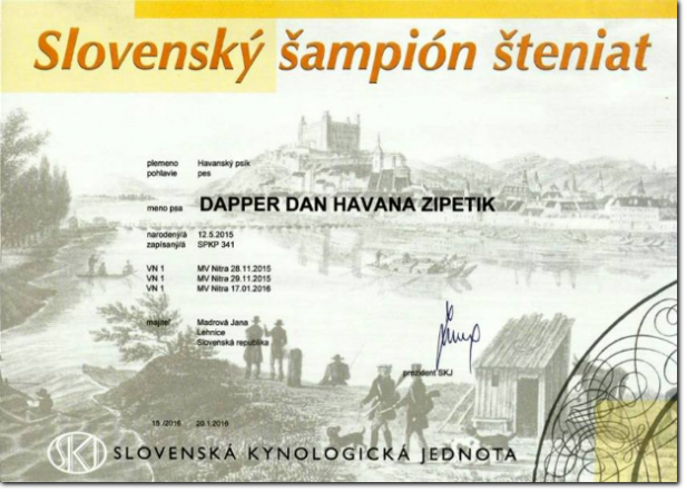 DAPPER DAN Havana Zipetik - Slovenský šampión šteniat