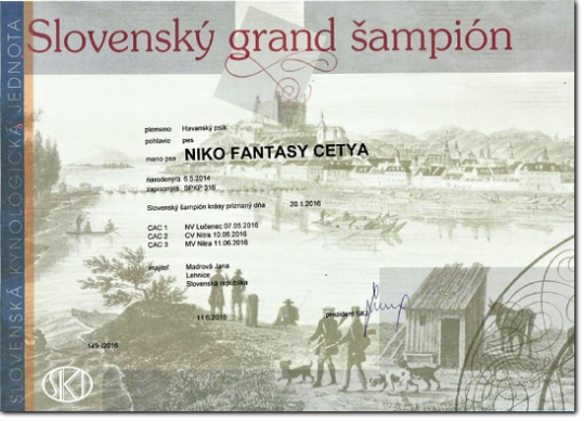 NIKO Fantasy Cetya SLOVAKIA GRAND CHAMPION